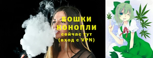 прущая мука Инта