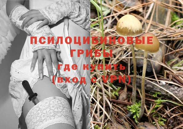 герыч Инсар
