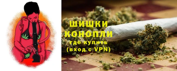 прущая мука Инта